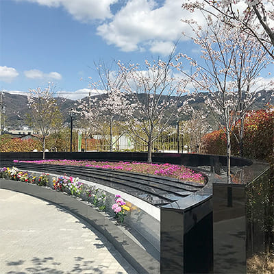 プレート型さくら樹木葬