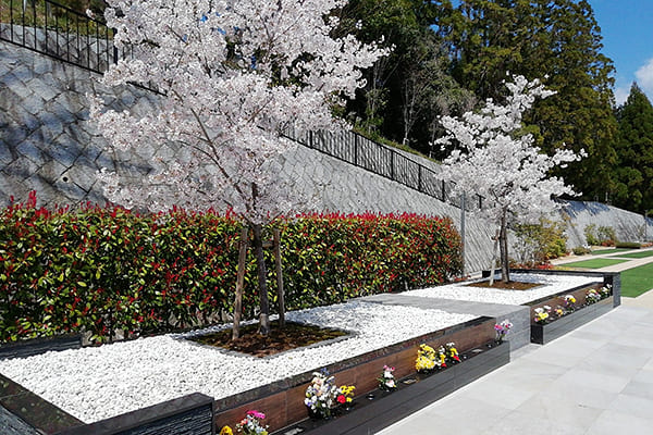 種類豊富な樹木葬