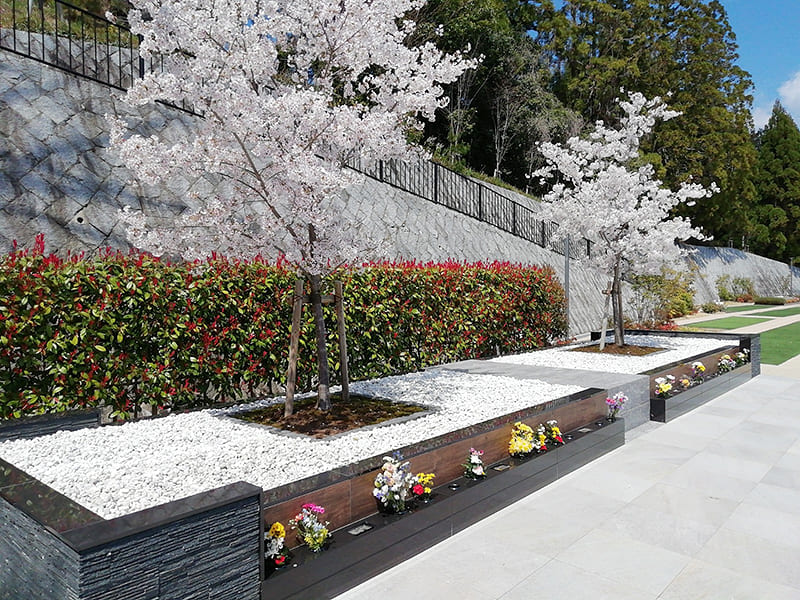 さくら樹木葬の大きな写真